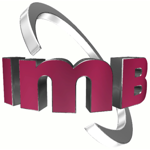 Firmengeschichte von IMB