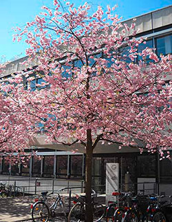 Volkswirtschaft - Georg-August-Universität Göttingen