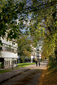 Wirtschaftsinformatik - Hochschule Trier Wirtschaftsinformatik - Hochschule Trier