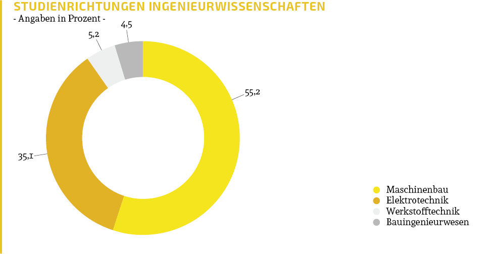 Nutzerstruktur Ingenieure