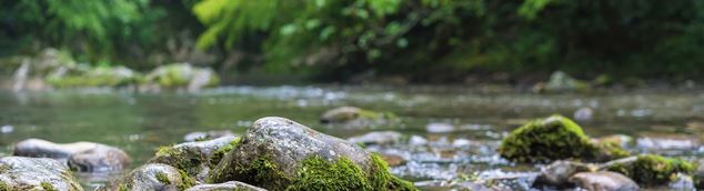 Abschlussarbeit bei SEBA Hydrometrie