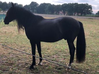 Personalverantwortlich bei real 