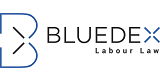 Logo von BLUEDEX