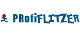 Logo von PRofiFLITZER 